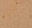 218-14013 218-14013
